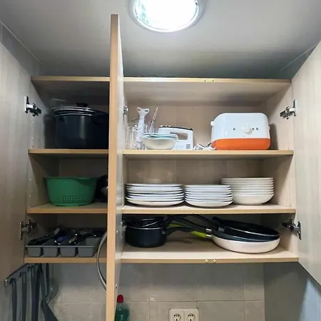 Apartment Mshome *